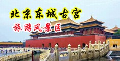操鸡巴视频看看中国北京-东城古宫旅游风景区